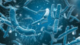 medical_illustration_bacteria_cells